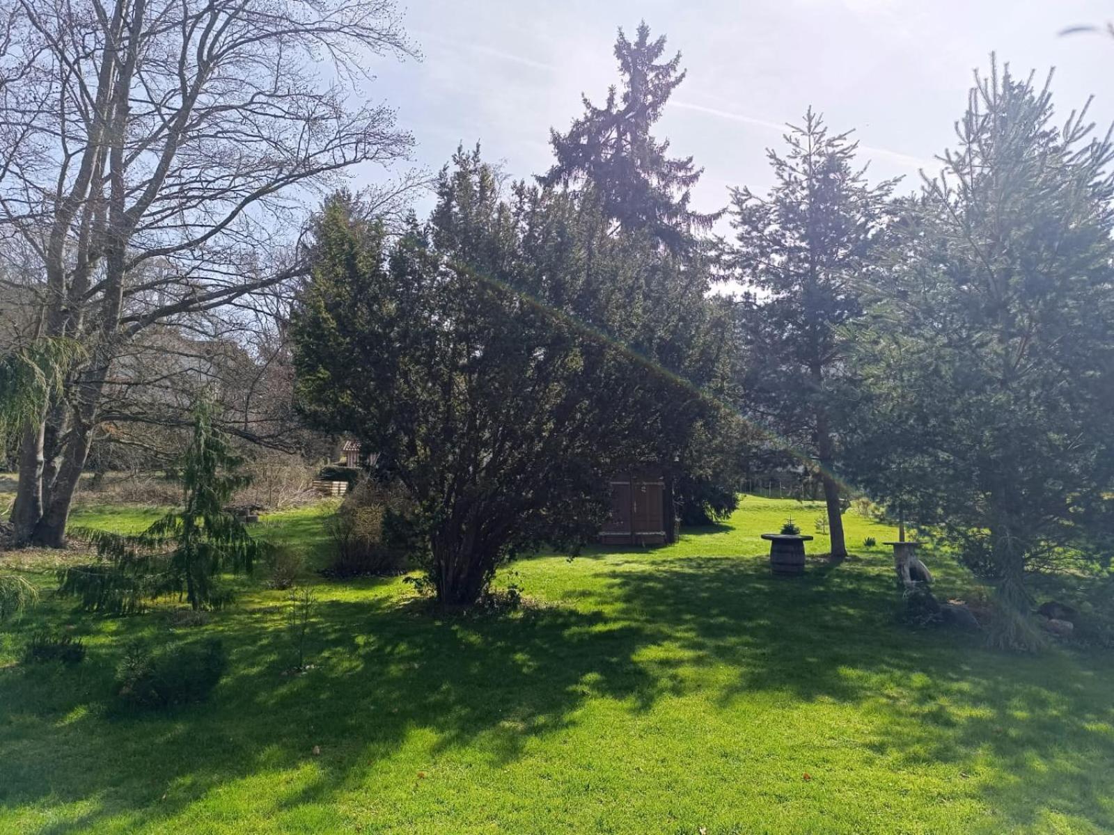 Ferienwohnung Waldblick Bad Dürrheim Εξωτερικό φωτογραφία